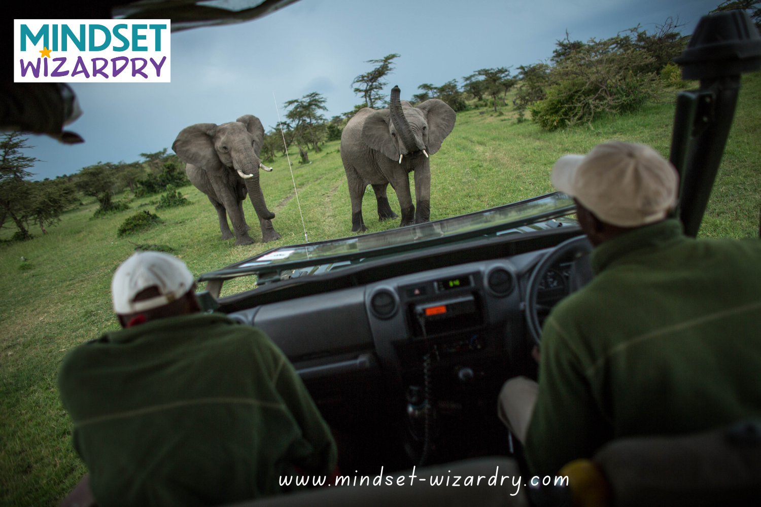 Steady Hands in Stormy Weather: The Power of Leadership in a VUCA World