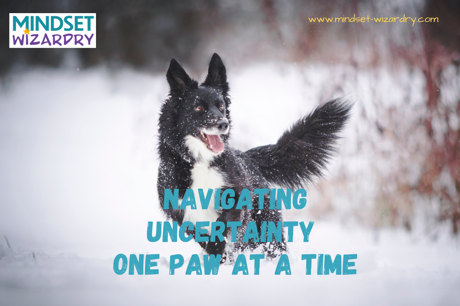 Snowmageddon for Dogs: Navigating Uncertainty One Paw at a Time