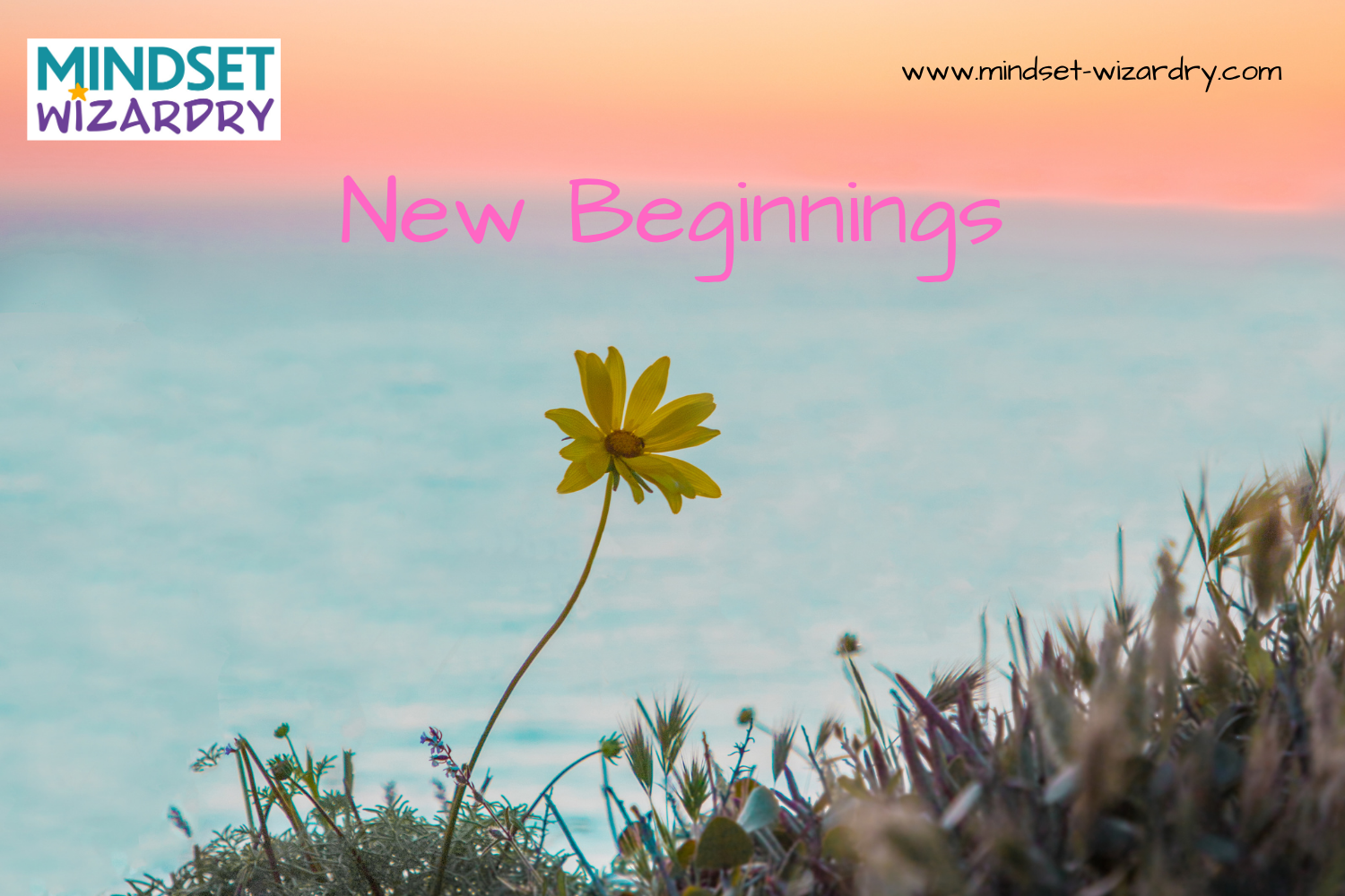 Embracing New Beginnings: Navigating the Transition After Extreme Change 