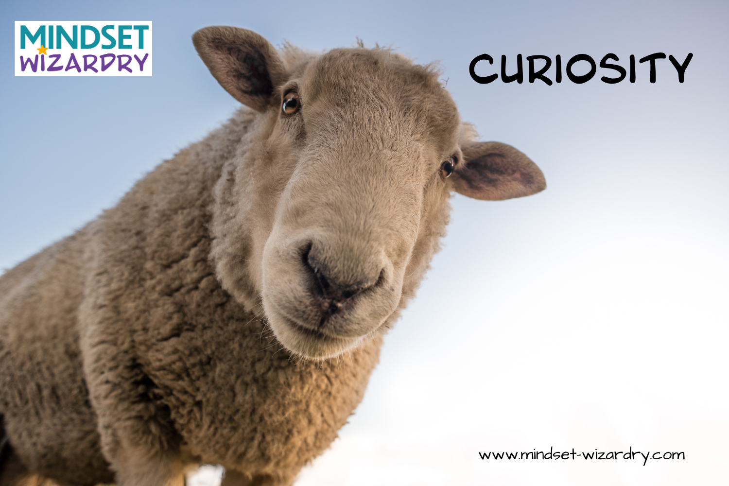 Unlock the Power of Curiosity: Your Secret Weapon in Conquering the Chaotic VUCA World