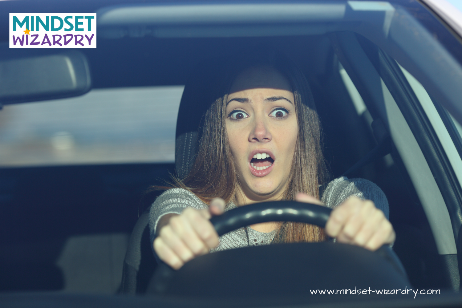 My Driving Adventure