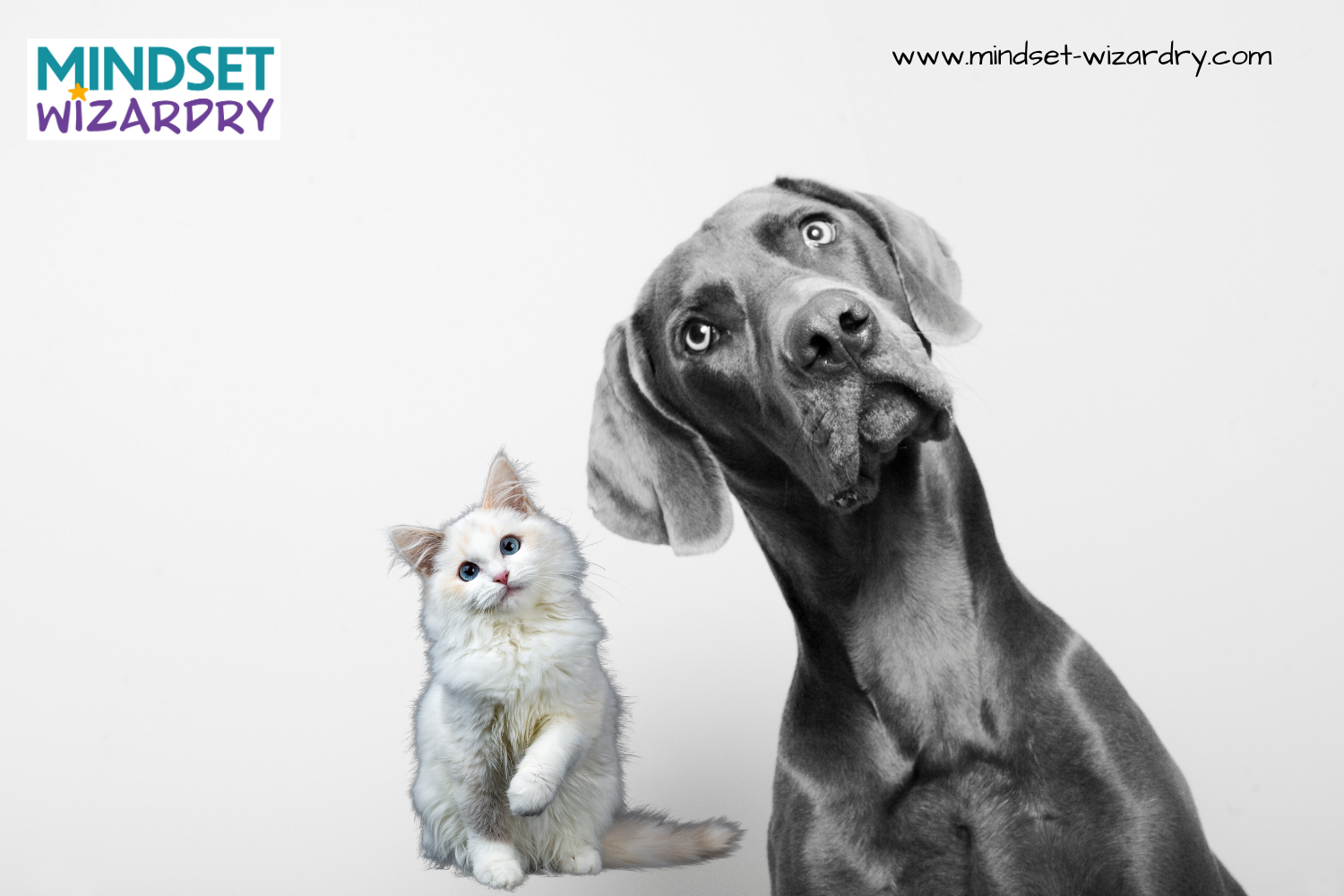 Shipping Animals Overseas - Part 2