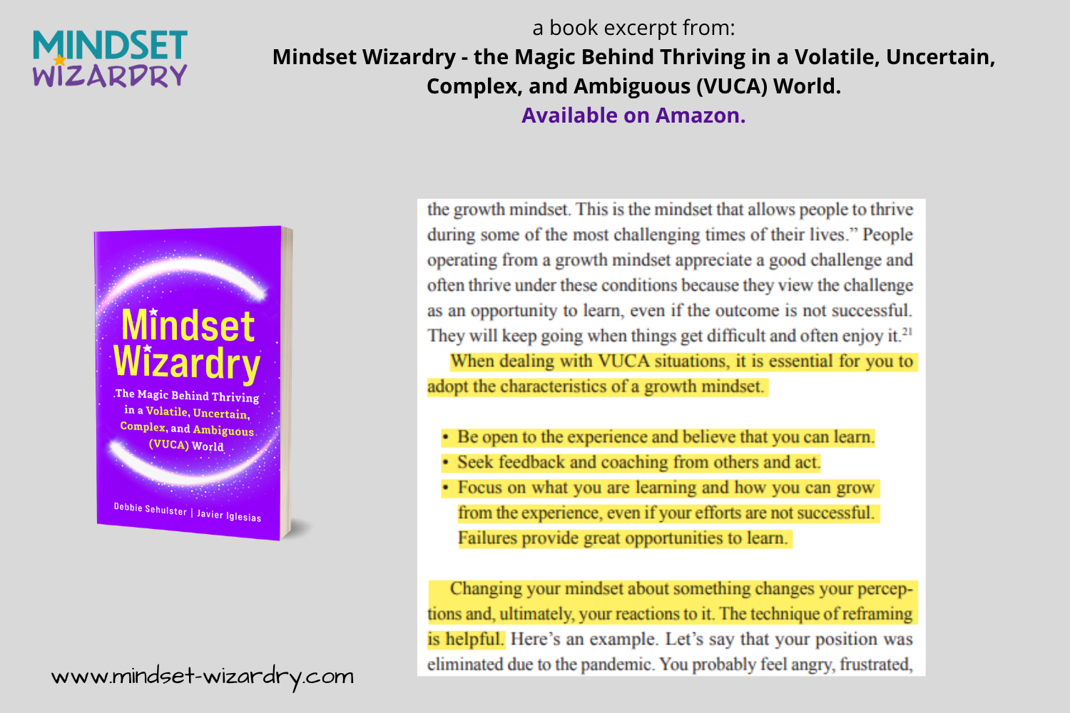 Book Excerpt 2 - Growth Mindset