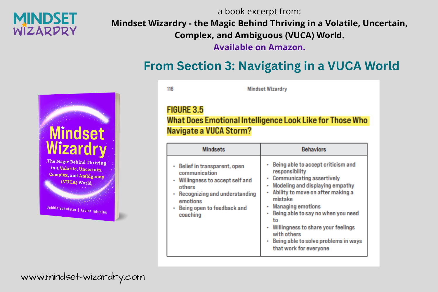 Book Excerpt 5 - Emotional Intelligence