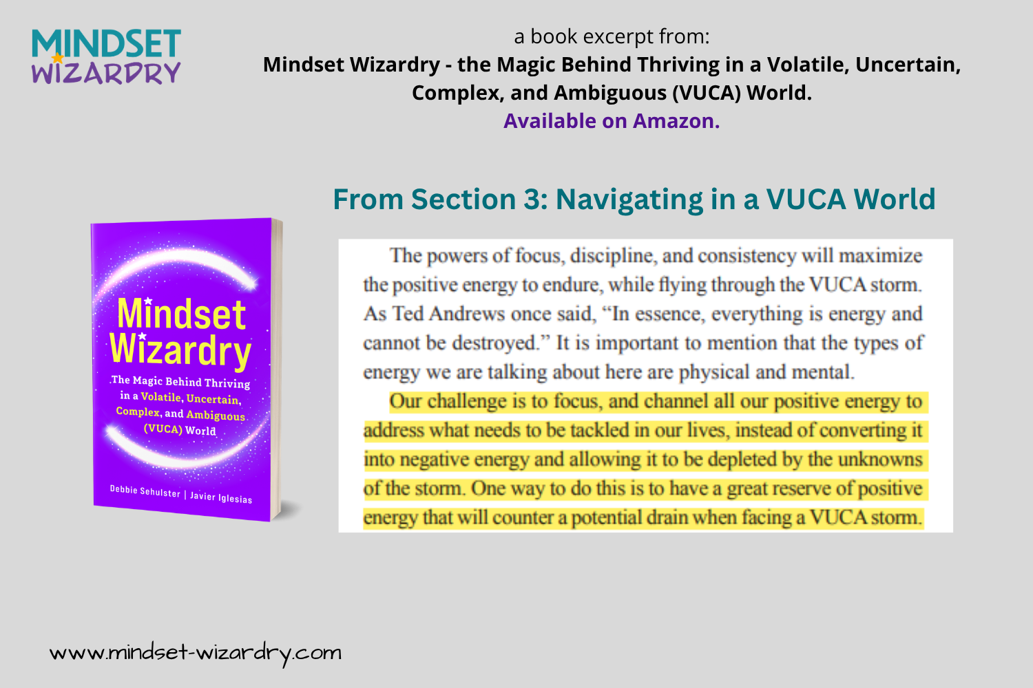 Book Excerpt 7 - Energy