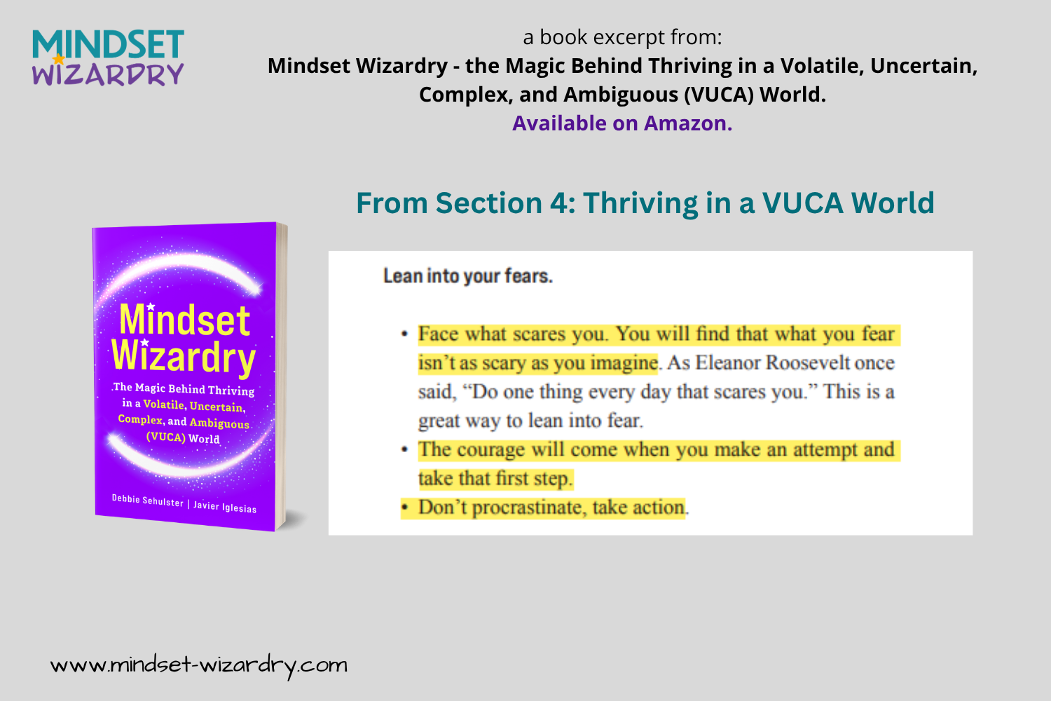 Book Excerpt 8 - Facing Fears