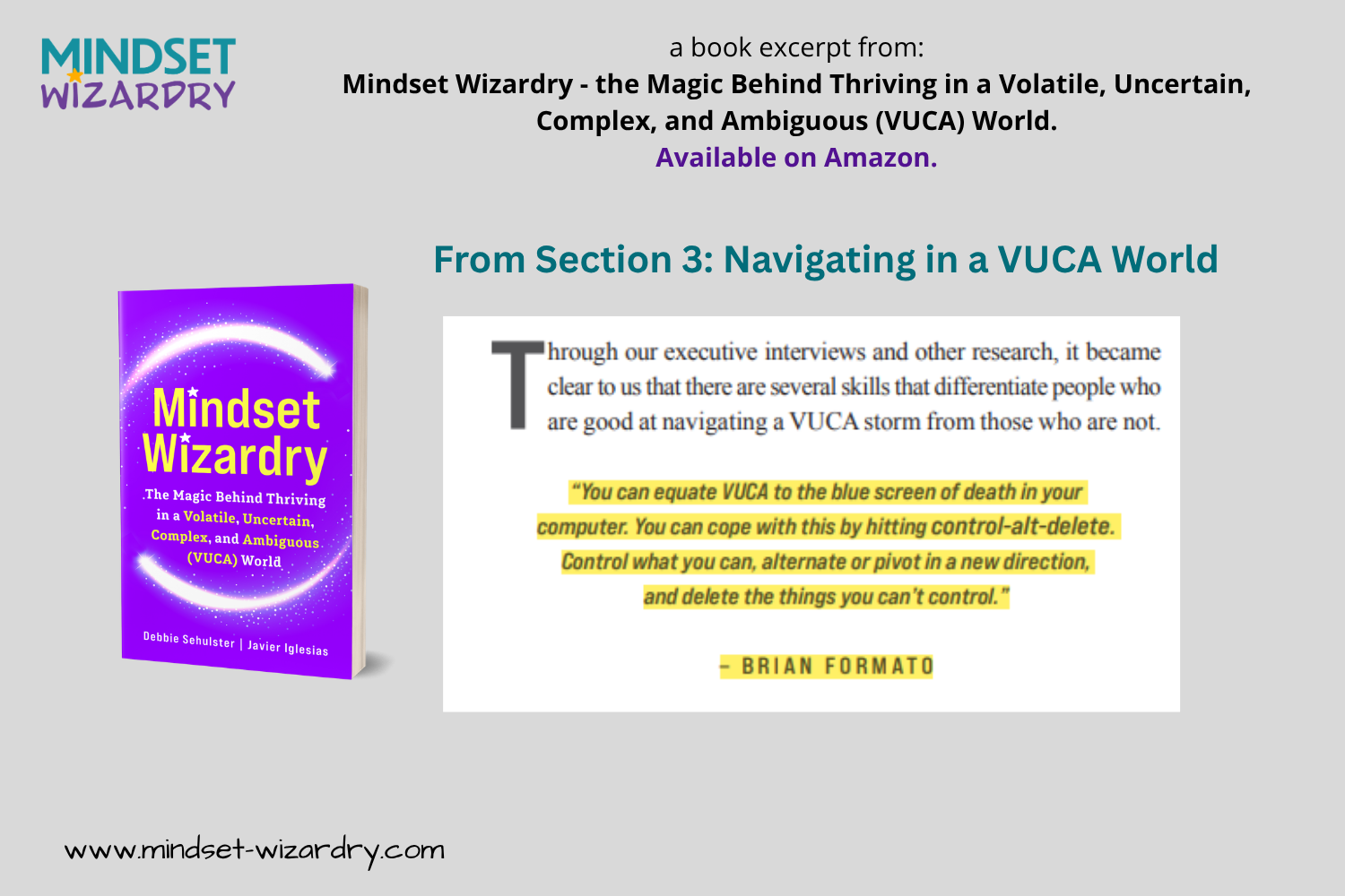 Book Excerpt 9 - Blue Screen of Death