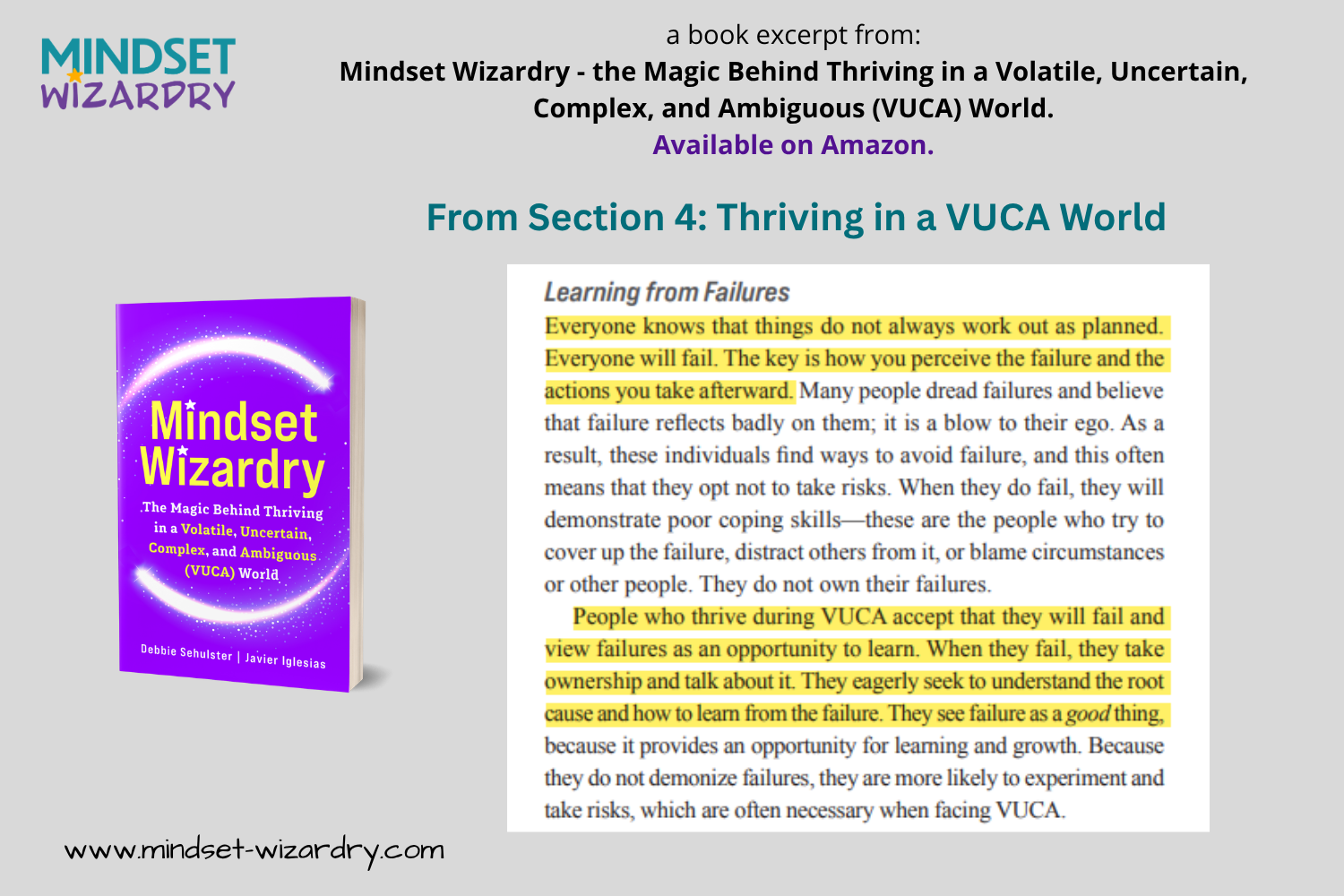 Book Excerpt 11 - Learning from Failures