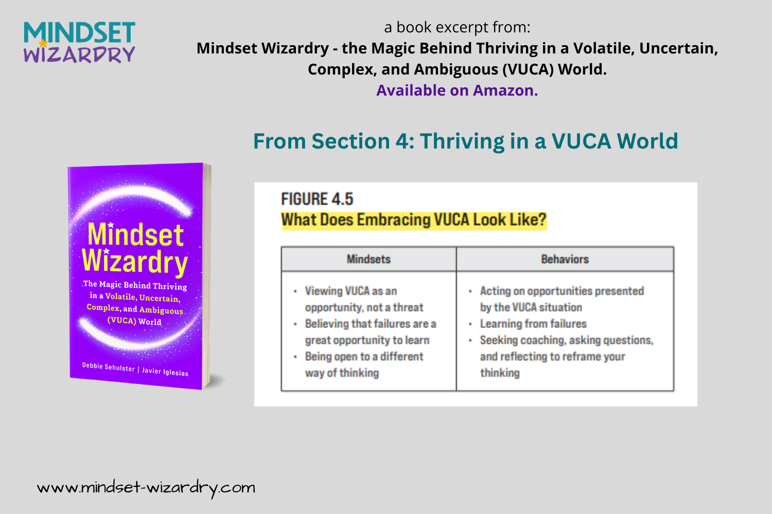 Book Excerpt 12 - Embracing VUCA