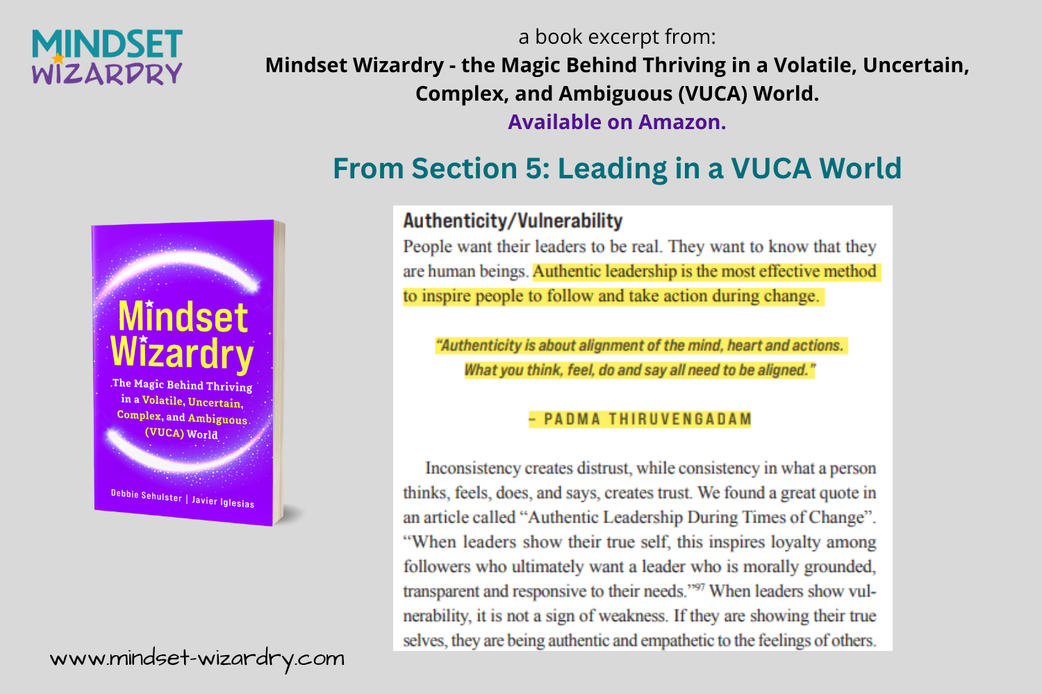 Book Excerpt 13 - Authenticity