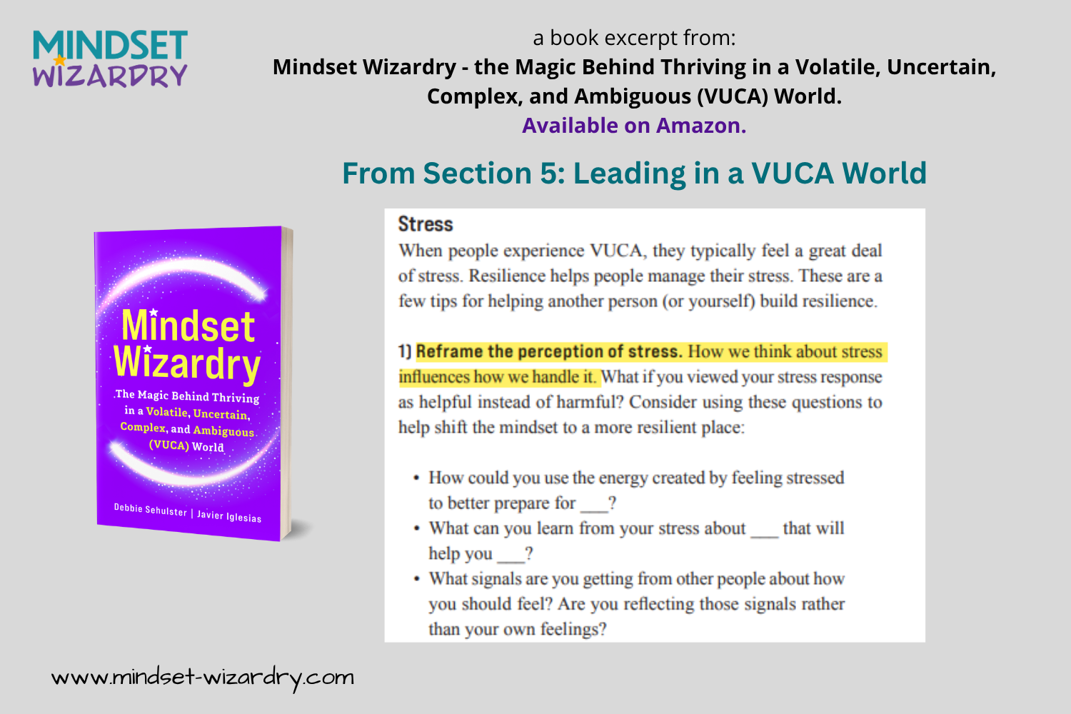 Book Excerpt 15 - Reframing Stress