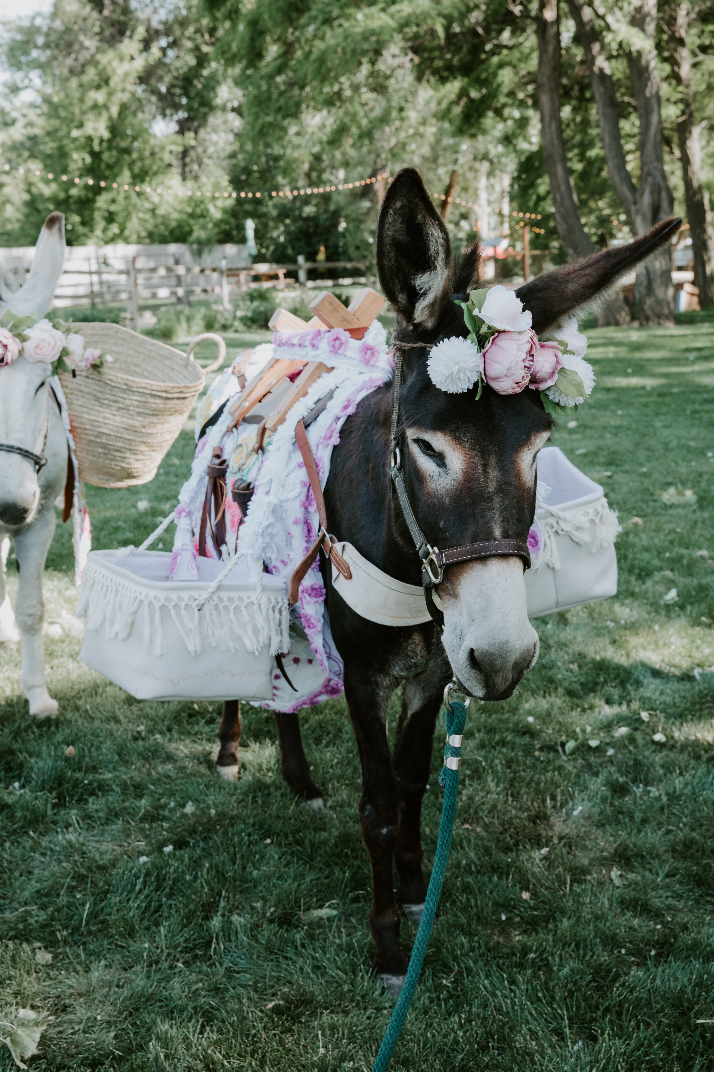 Conner+KaleyMARRIED.AshleyTiedgenPhotography-572.jpg