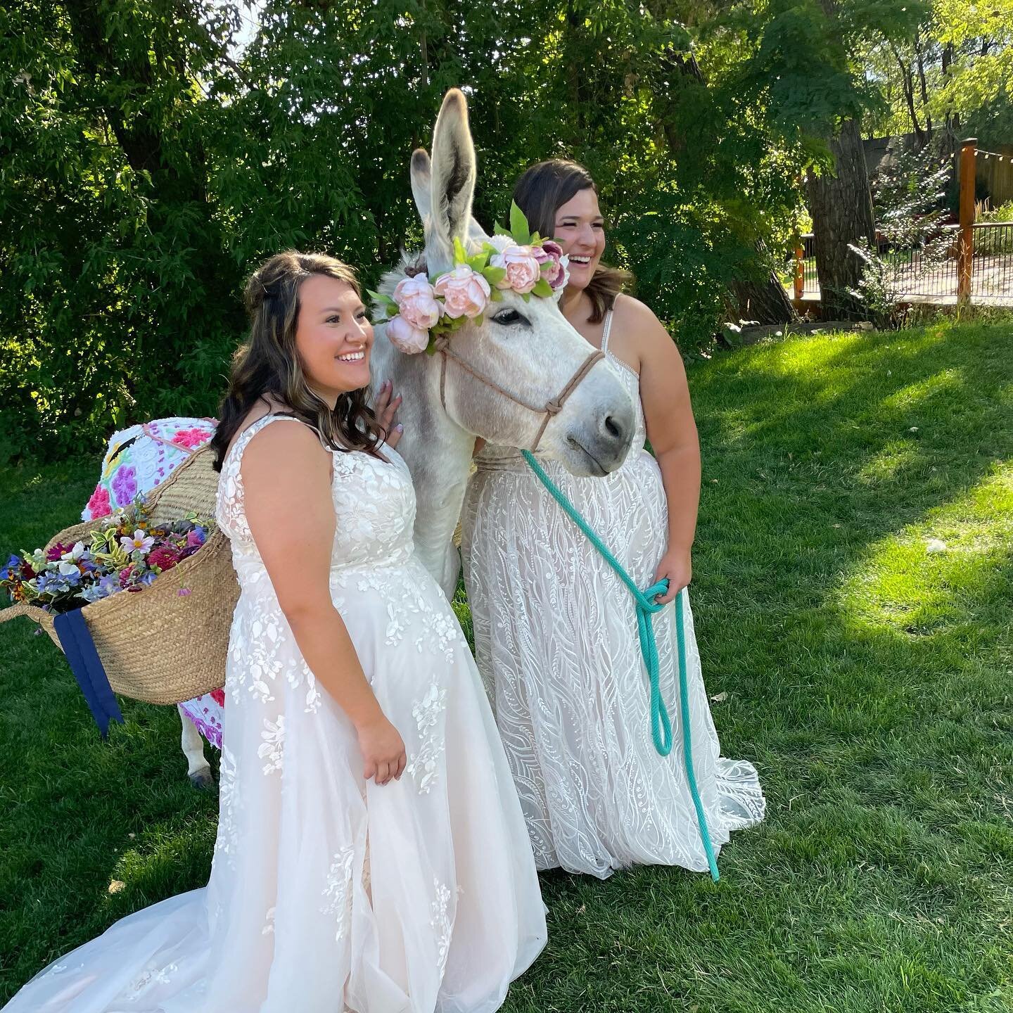 I had fun with these brides today then Iris joined in and we smothered them then I accidentally tried on Lucia&rsquo;s wedding shoe ooops @lyonsfarmette @dahliaeventslyons @sugarpinecatering #coloradoweddings #weddingideas #weddingideas_brides