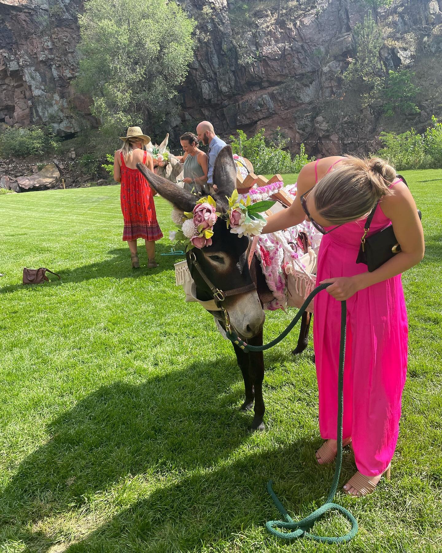 Love this dress @lyonsfarmette @good_olfashionedparty #coloradooutdoorweddings