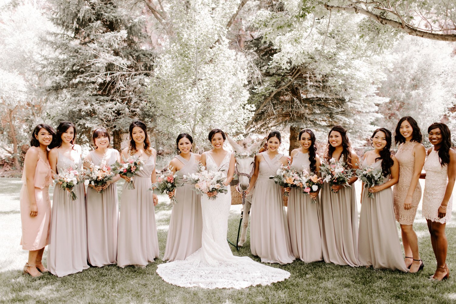 Spencer+++Krysia+Wedding237.jpeg