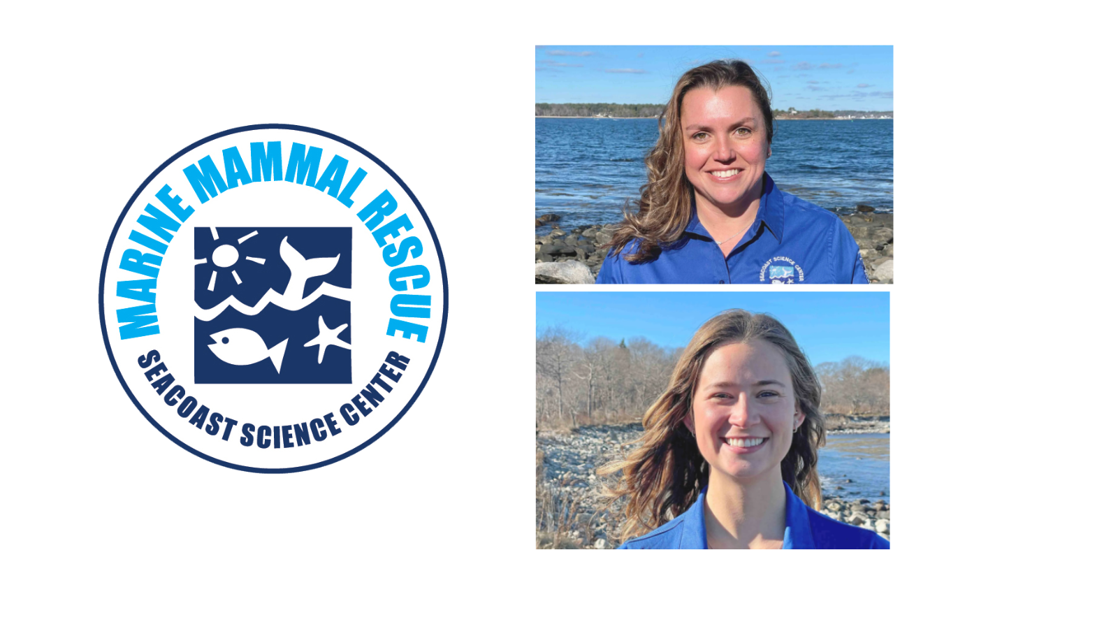 Climate Impacts on Marine Mammals: Stories from the Field