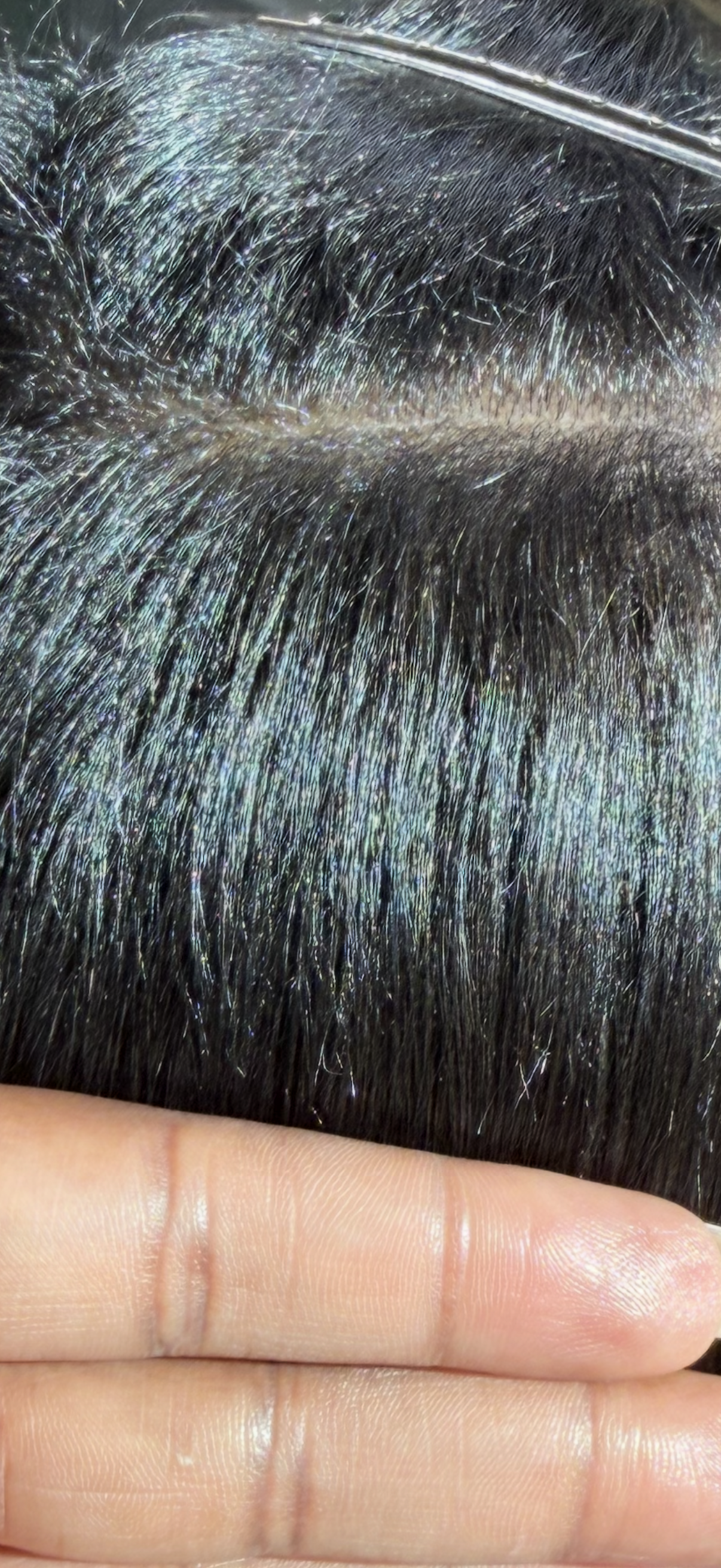 Client 5: After