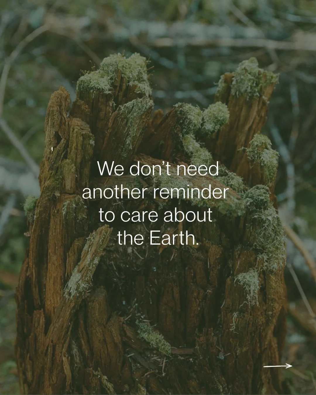 A small reminder this Earth Day&hellip;

go outside slow down &amp; notice what&rsquo;s already around you

that&rsquo;s where it starts. 

#EarthDay #ReconnectToNature #FindYourWild