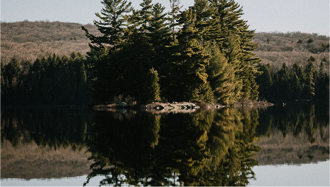 A peaceful lake with calm water reflecting a cluster of tall evergreen trees on the shore, surrounded by distant rolling hills.
