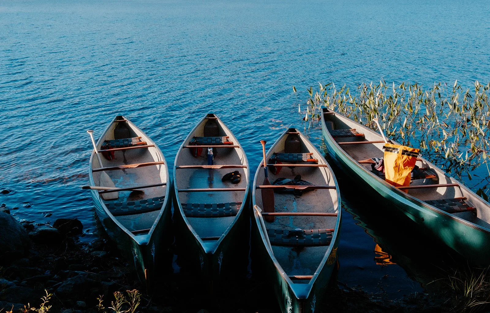 Four canoes docked on a calm lake with clear blue water, surrounded by reeds and rocks.