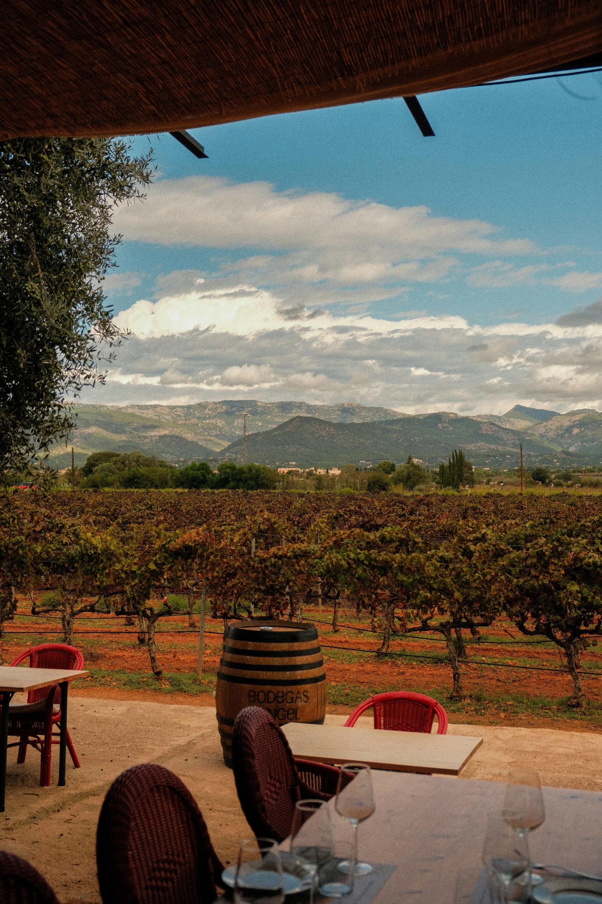Spanish Wines Tasting Event (click here to register)