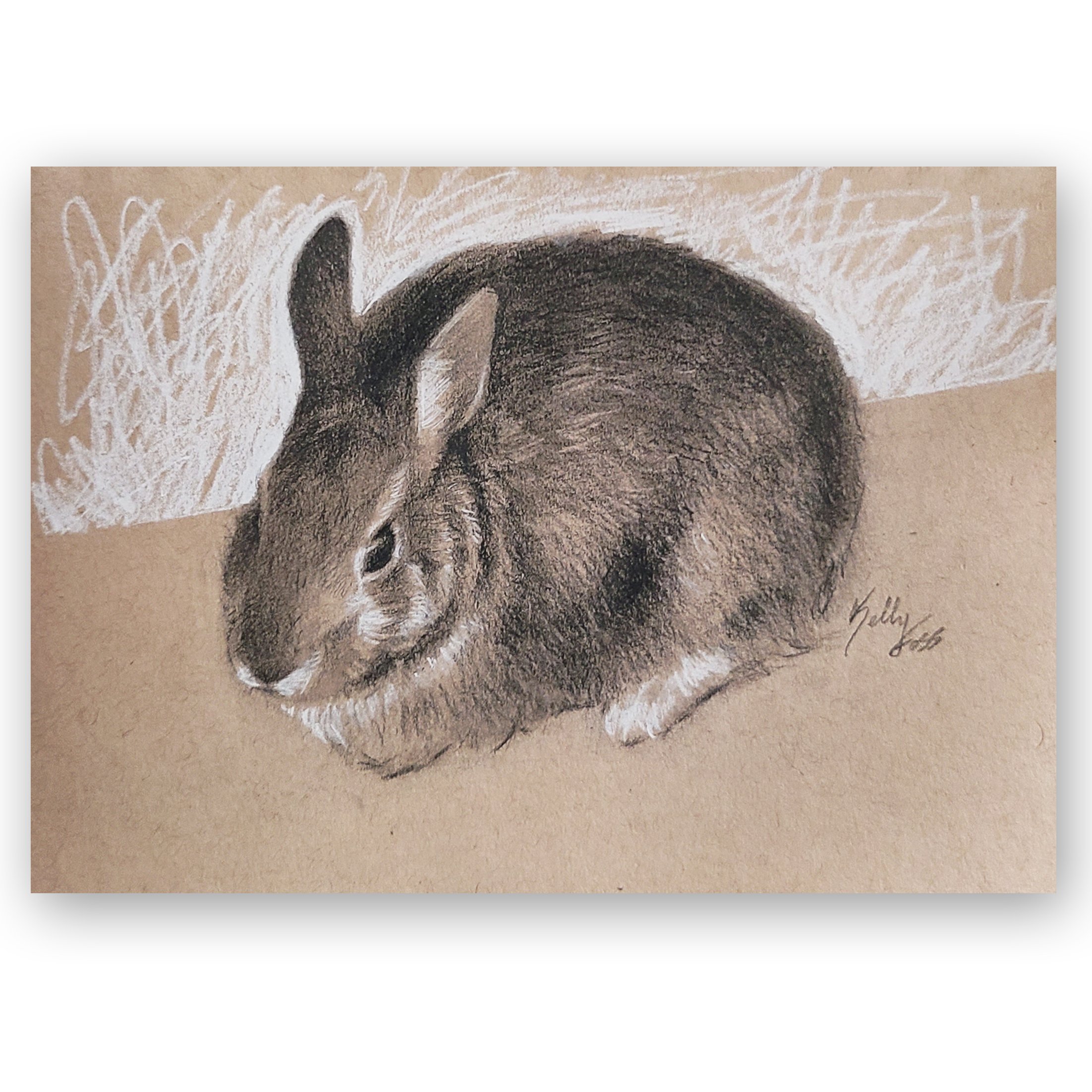 YOUNG RABBIT Original B&W Pencil Drawing Portrait Size 10 X 8 Mount matte  Size 12 X 10 Signed Animal Wildlife Art - Etsy