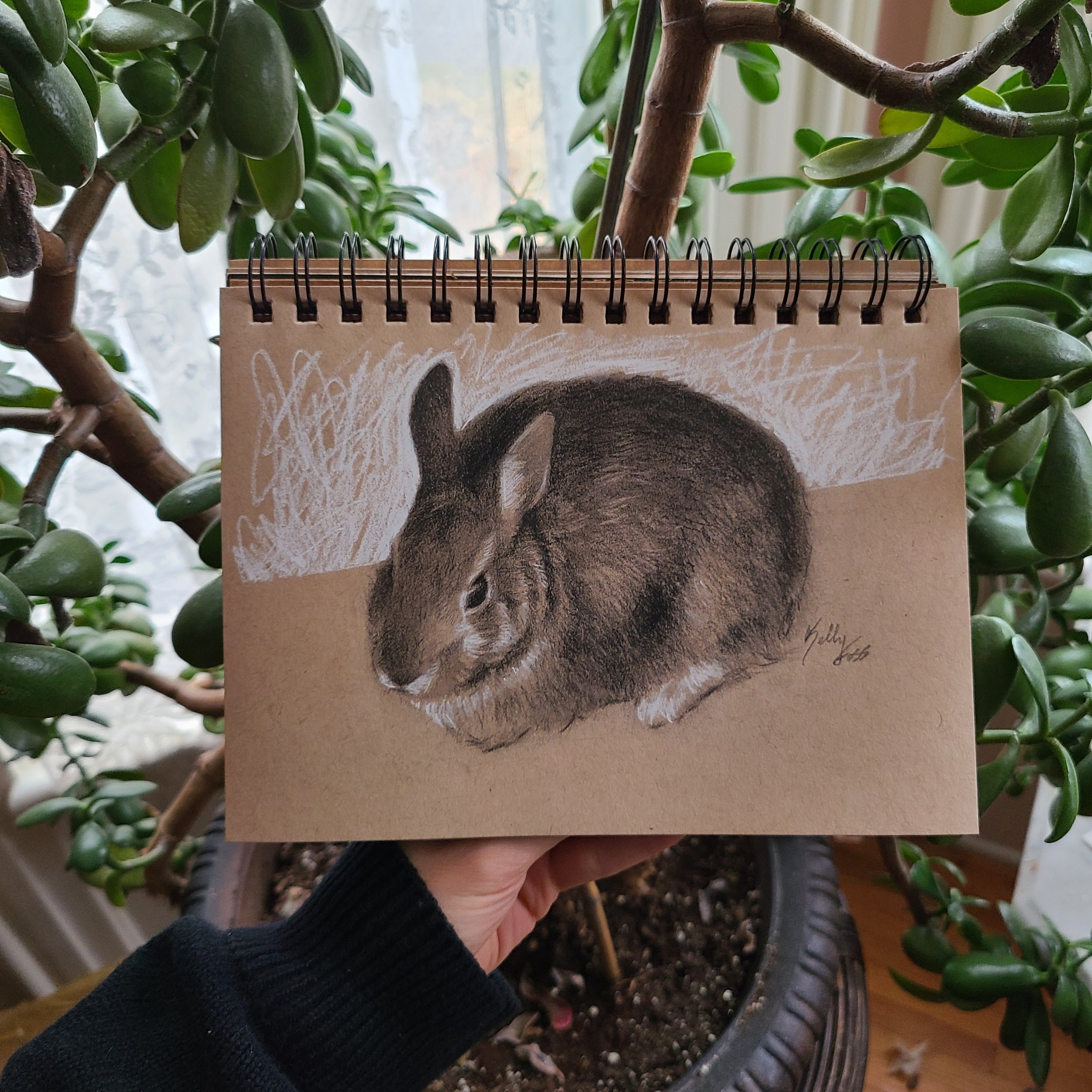 rabbit drawing, what should i draw, black and white, pencil sketch, white  background | Rabbit art, Rabbit drawing, Bunny art