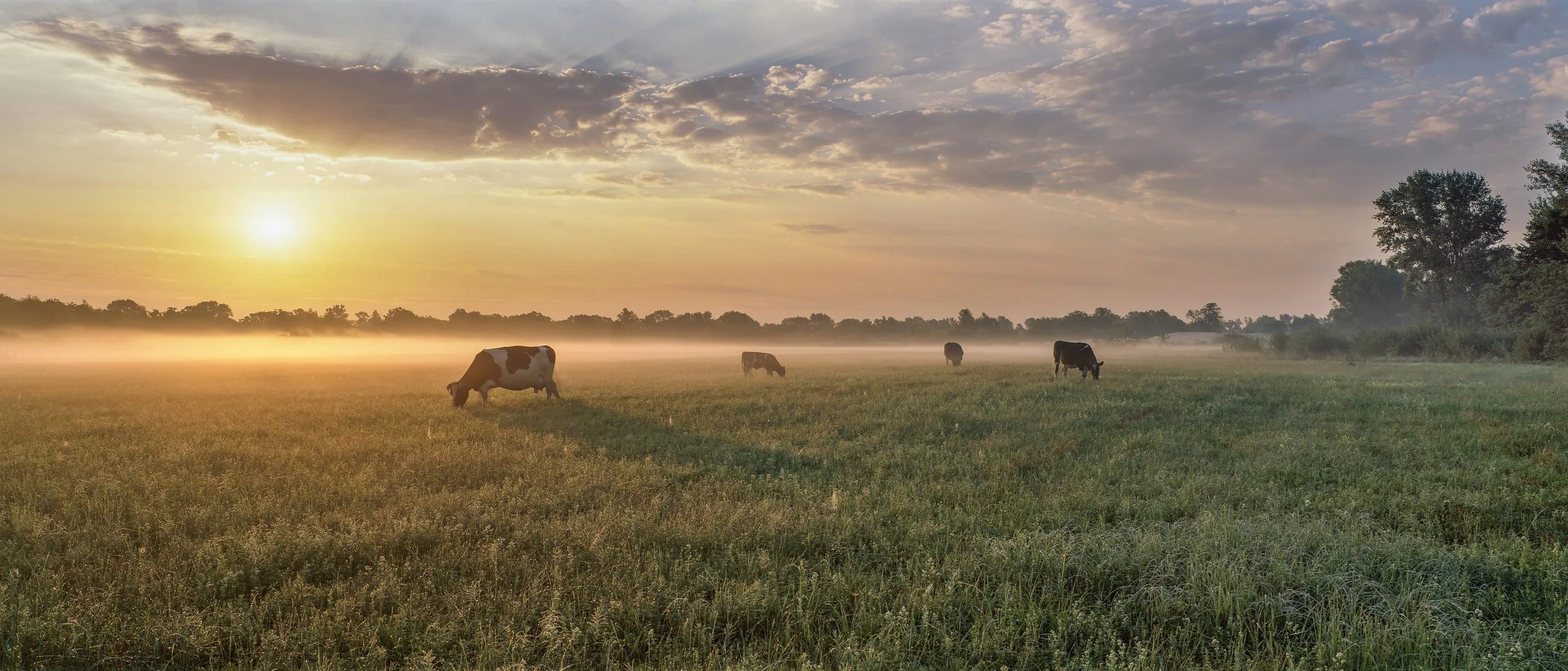 Farmer Mental Health Resilience Program — Rural Minds