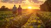 Farmer Mental Health Resilience Program — Rural Minds