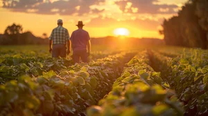 Farmer Mental Health Resilience Program — Rural Minds