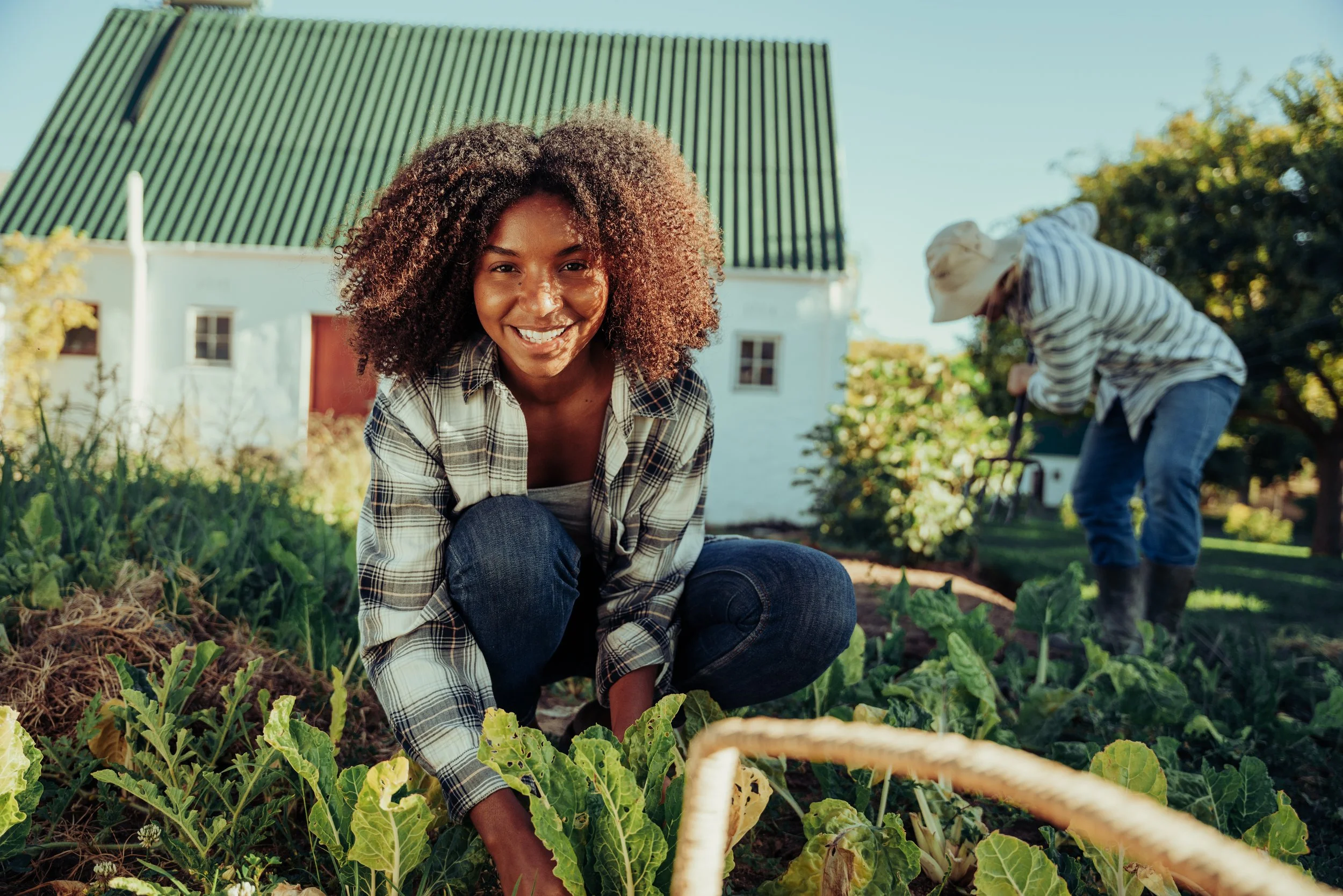 Farmer Mental Health Resilience Program — Rural Minds