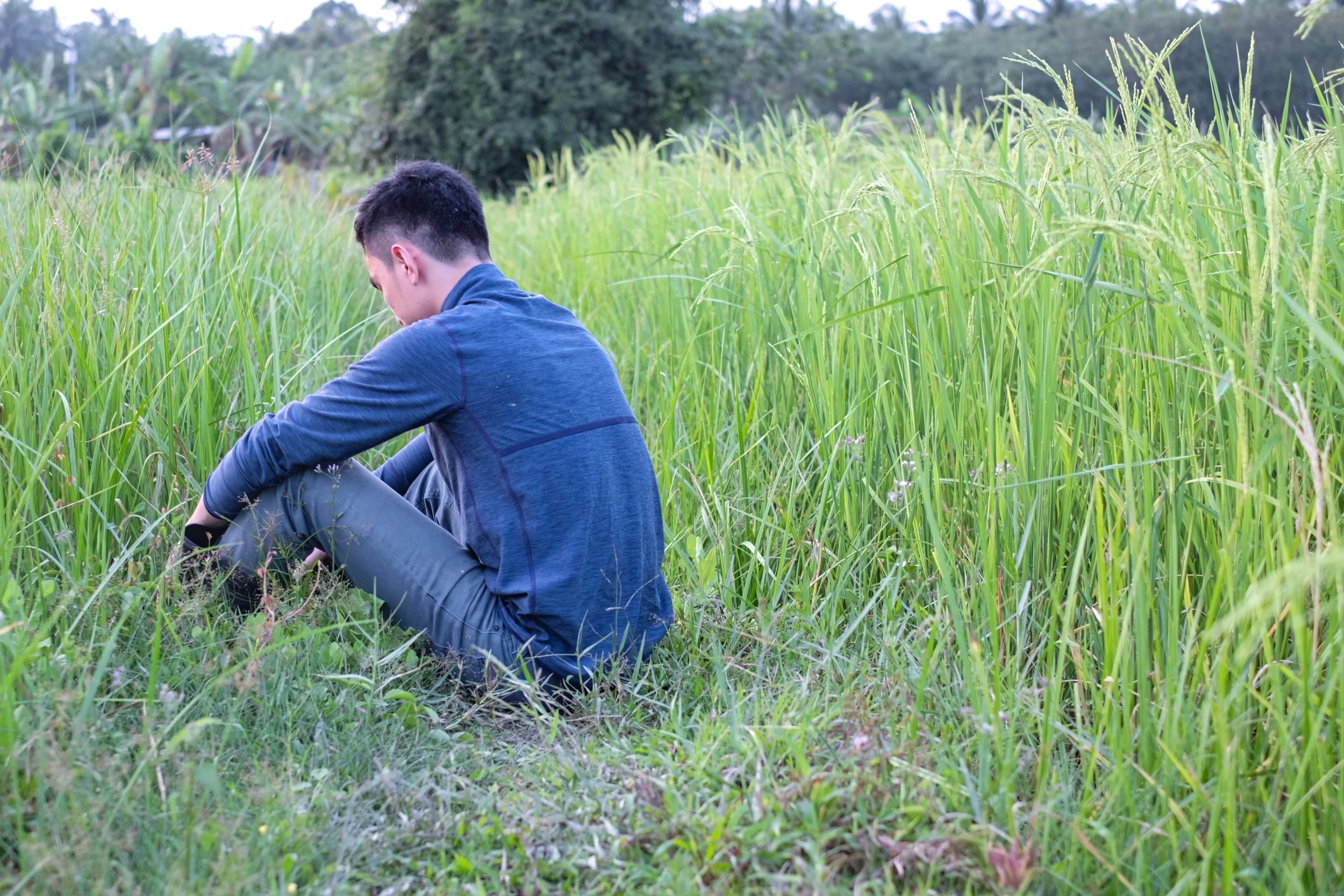Farm Stressors Affect Mental Health of Adults and Adolescent Children ...