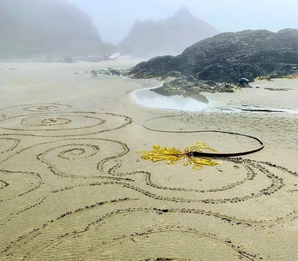 Gifting the Land (Ephemeral Earth Art)
