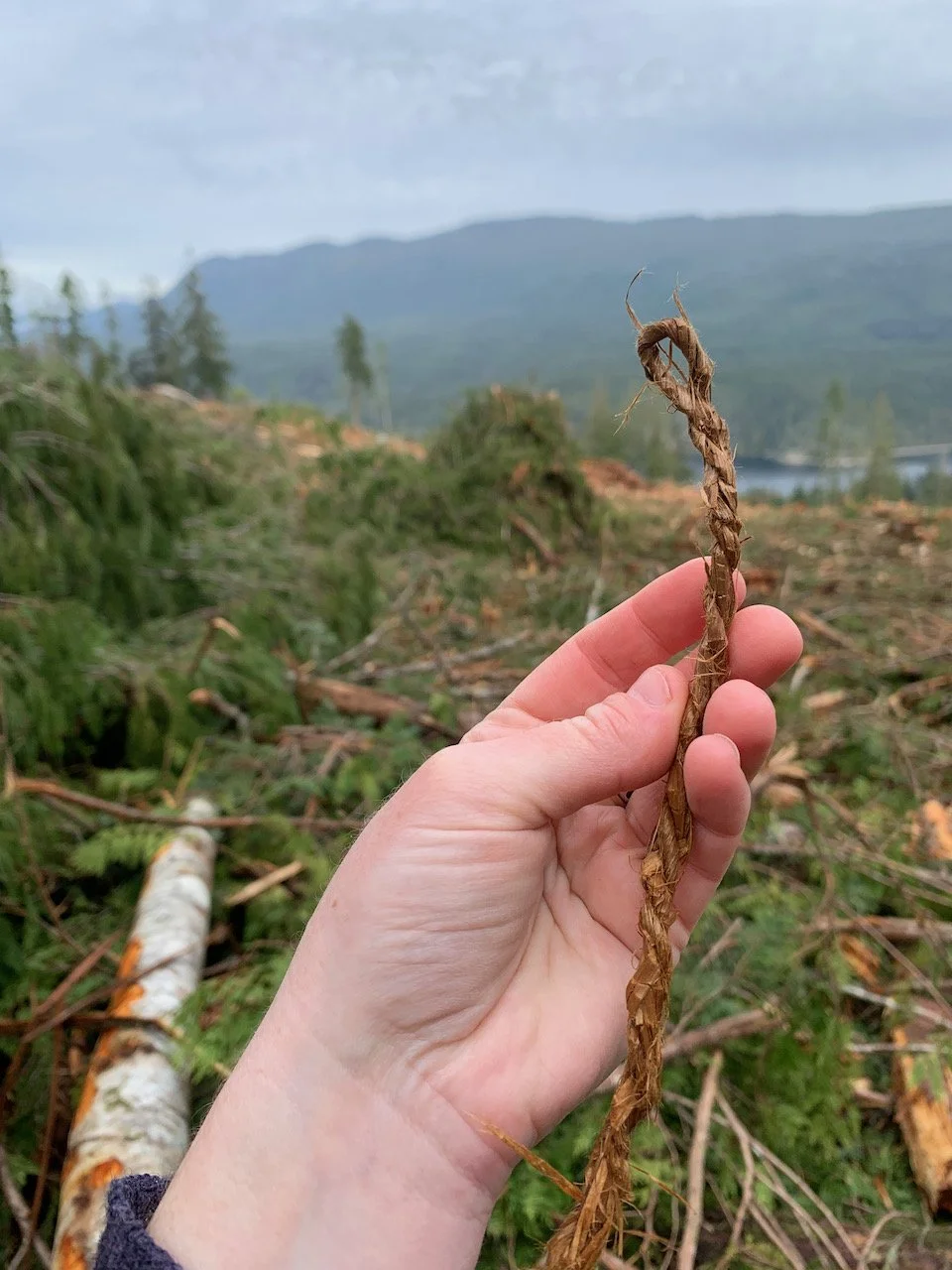 Sarah West artist cedar bark cordage.jpeg