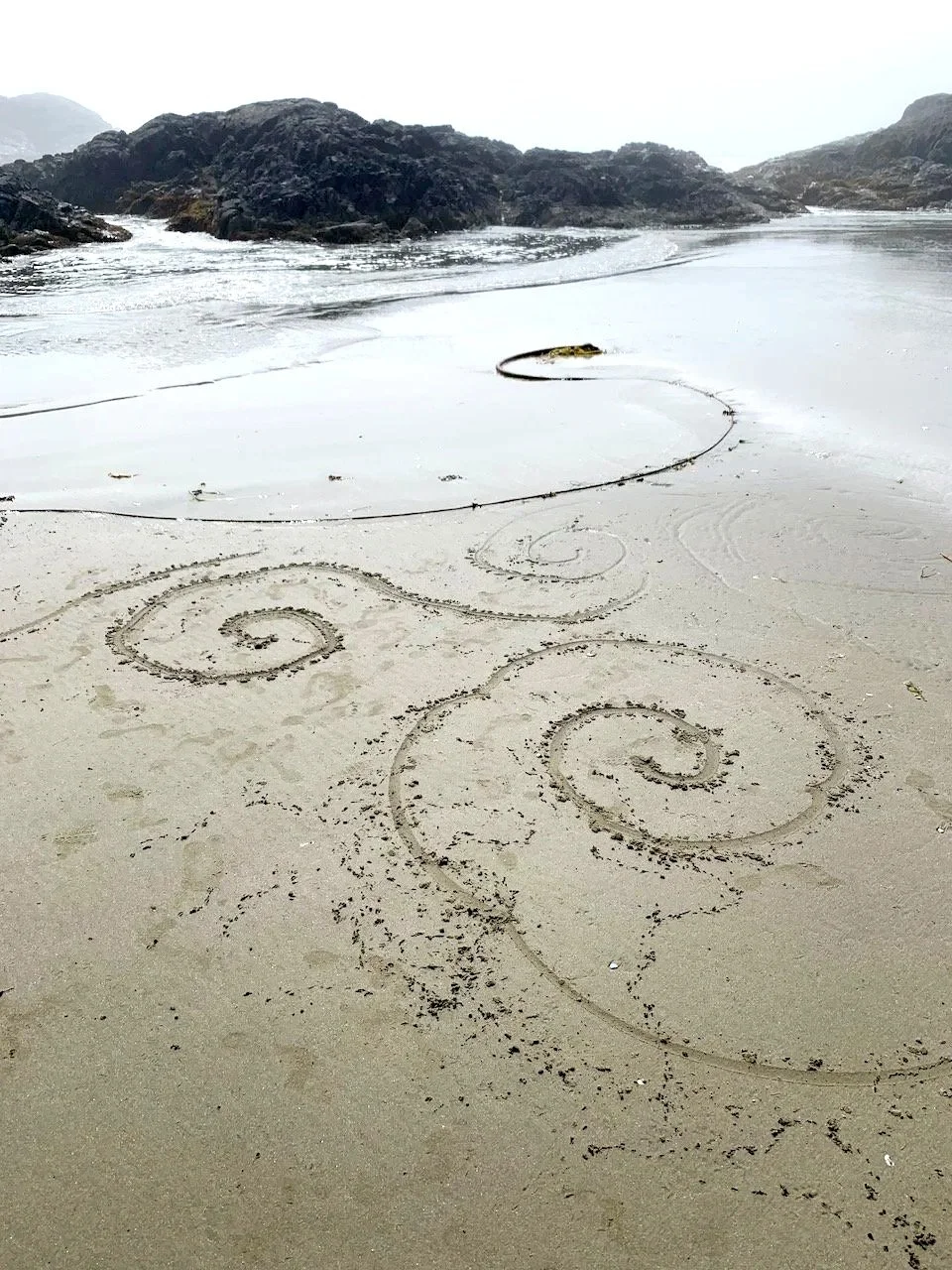 Sarah+West+artist+ephemoral+earth+art+kelp+3.jpg