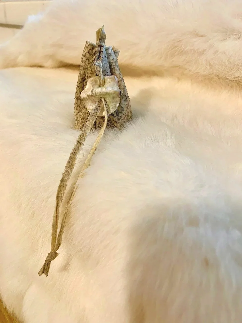 Sarah+West+artist+fish+skin+pouch+and+shell.jpg