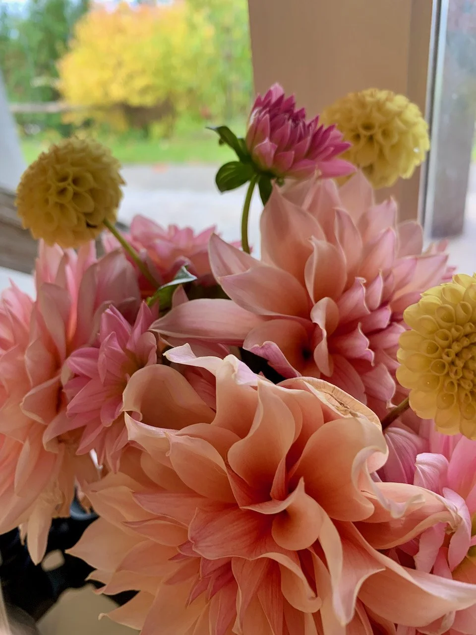 Sarah West artist flowers from garden.jpeg