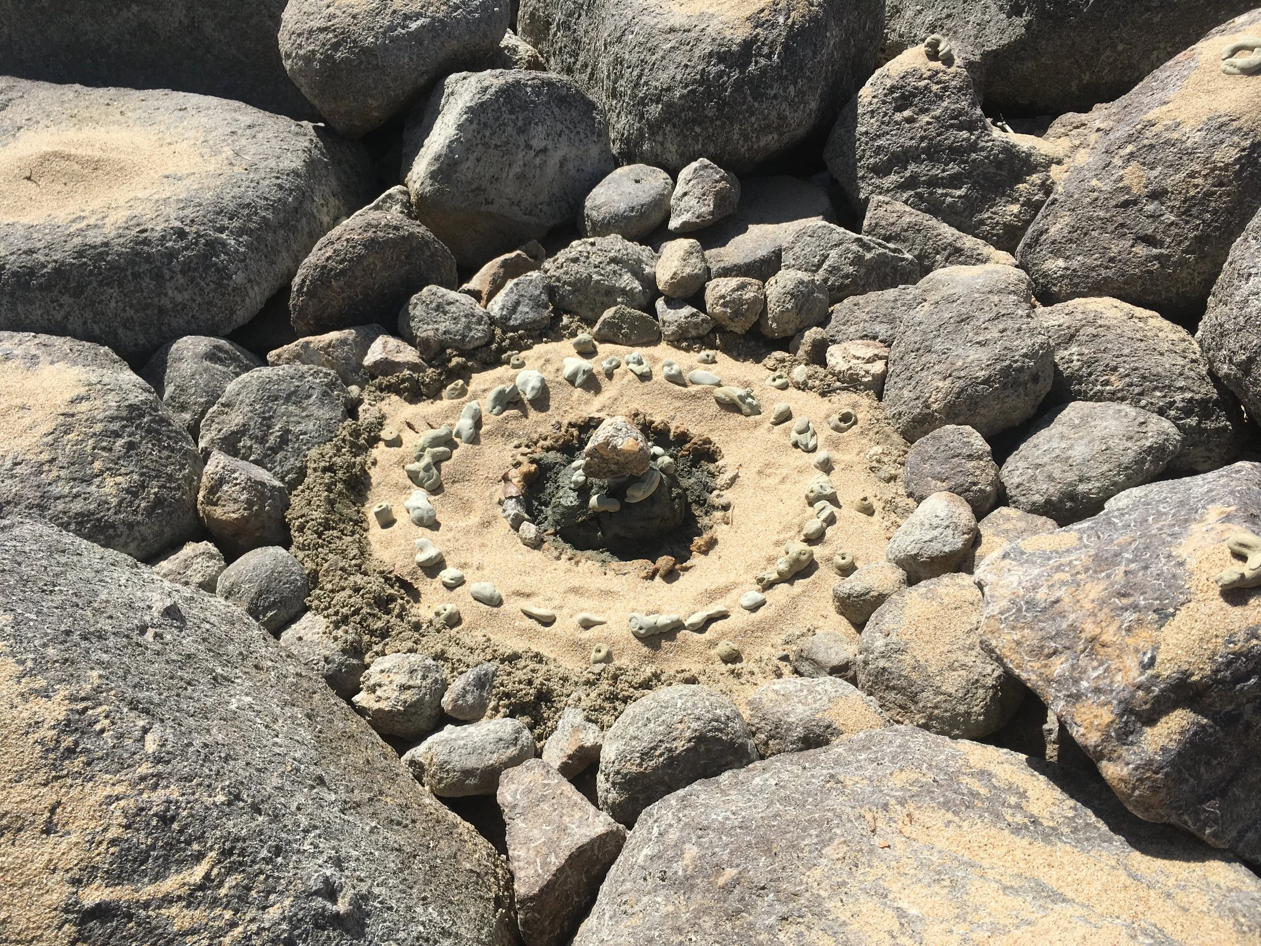 Sarah West artist land art ephemeral land art.JPG