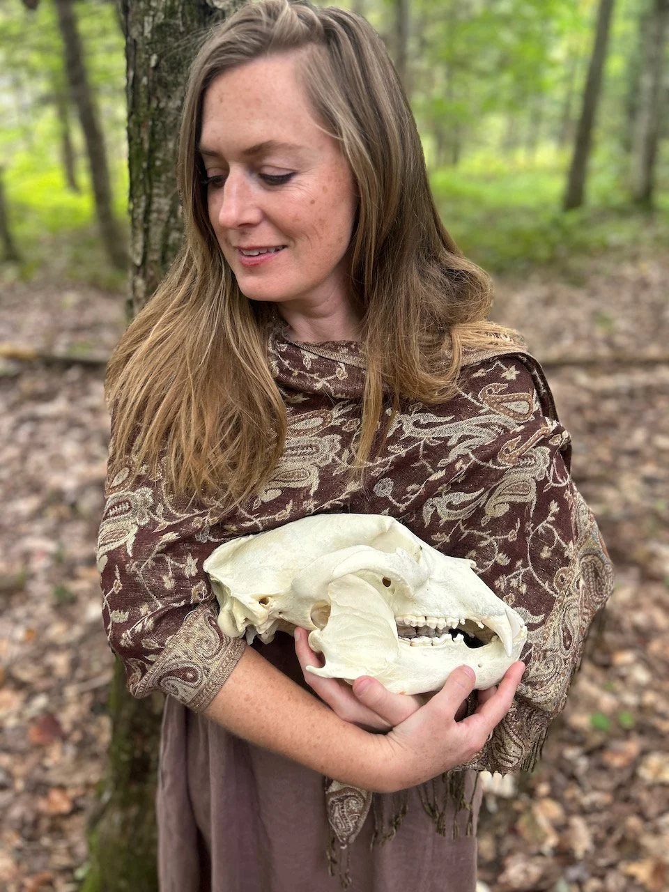Sarah West artist bear skull.jpeg