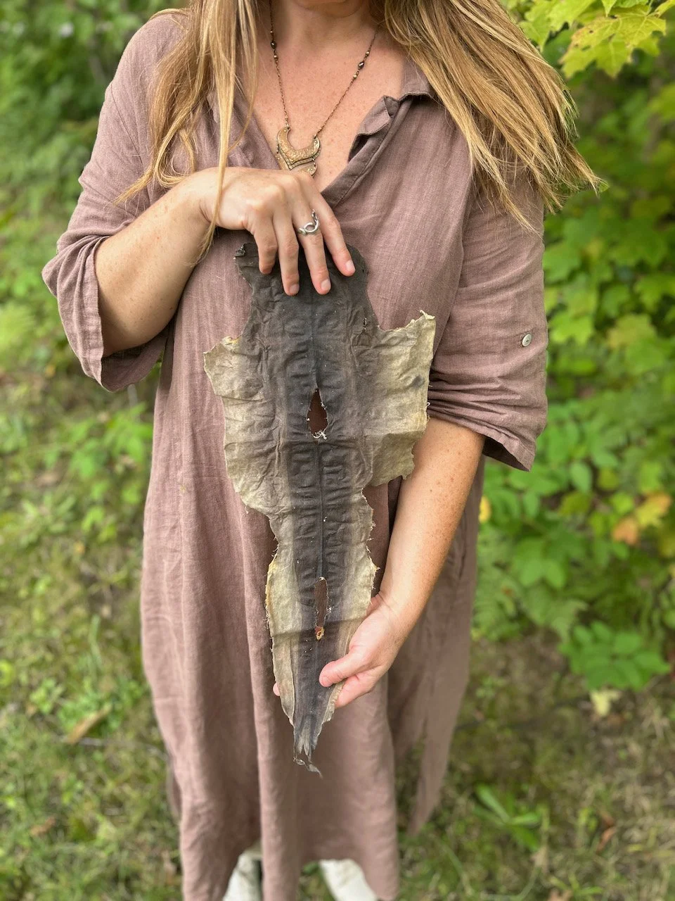 Sarah West artist shark skin dogfish.jpeg