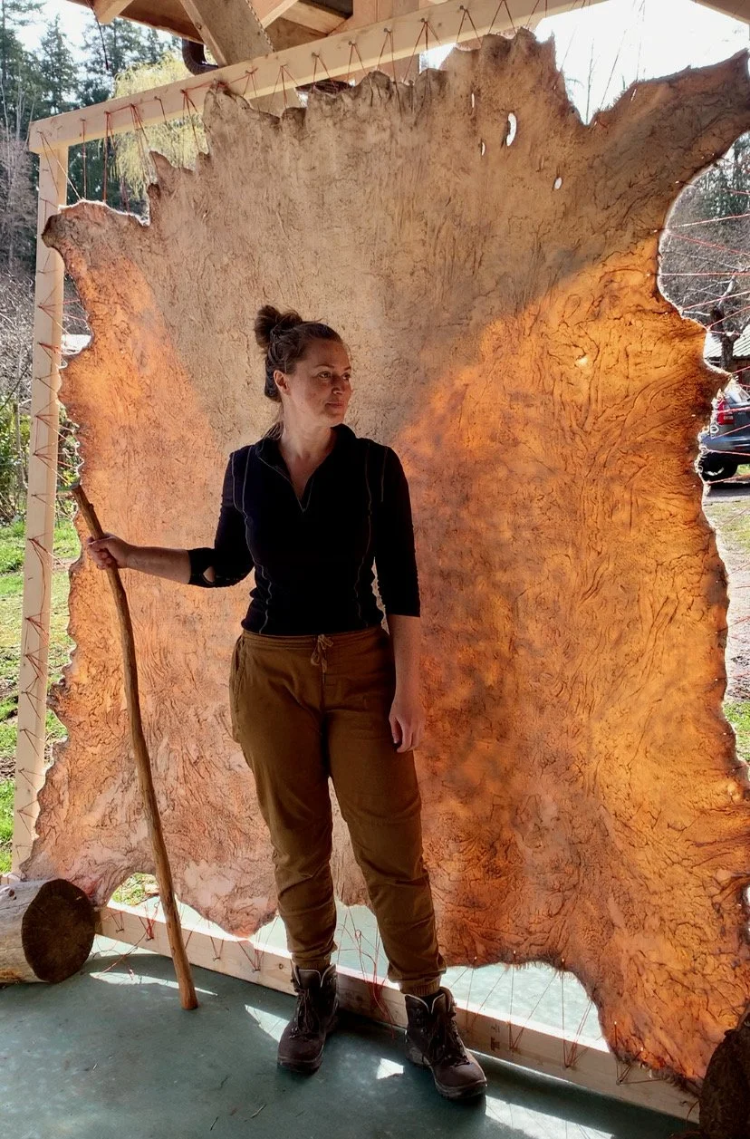 Sarah West artist cow hide tanning 2.jpeg