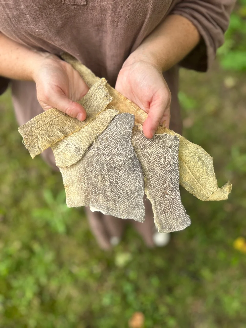 Sarah West artist fish skin.jpeg