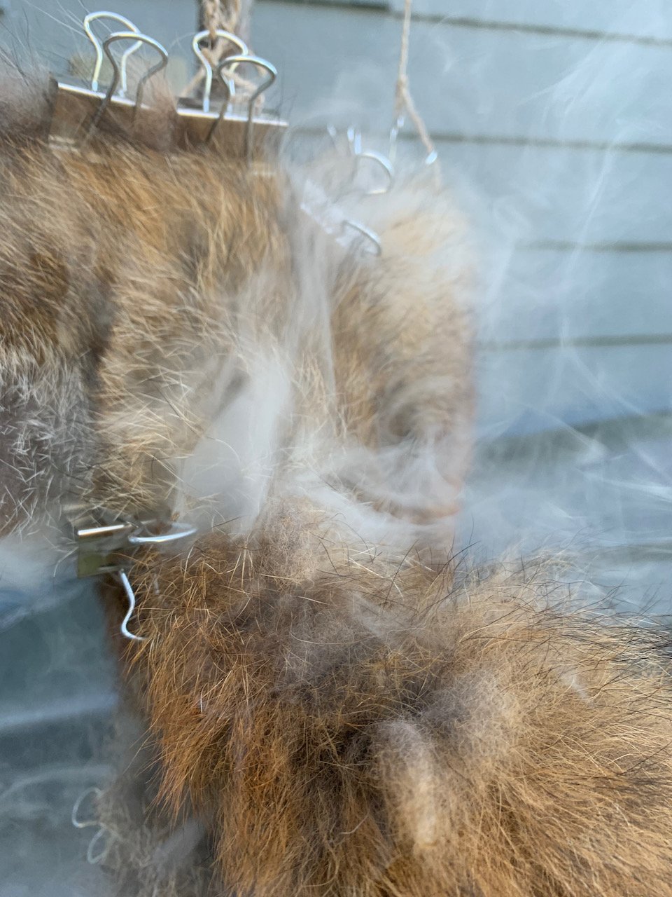 Sarah West artist smoked hide tanning.jpeg