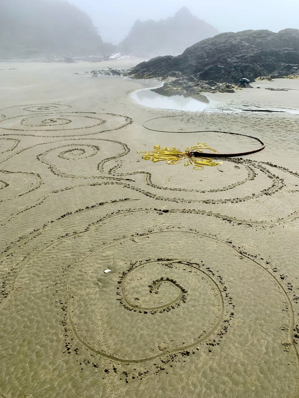 Sarah West artist ephemoral earth art kelp 2.jpeg