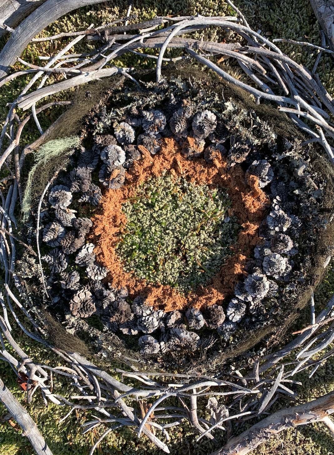 Sarah West earth art mandala.png