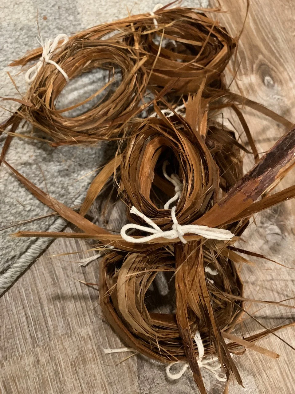Sarah West artist cedar bark.jpeg