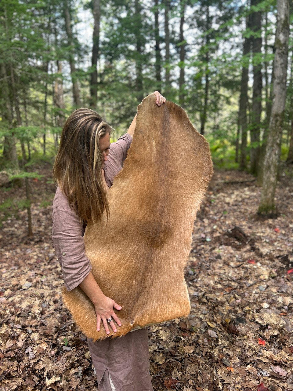 Sarah West artist deer skin tanned.jpeg