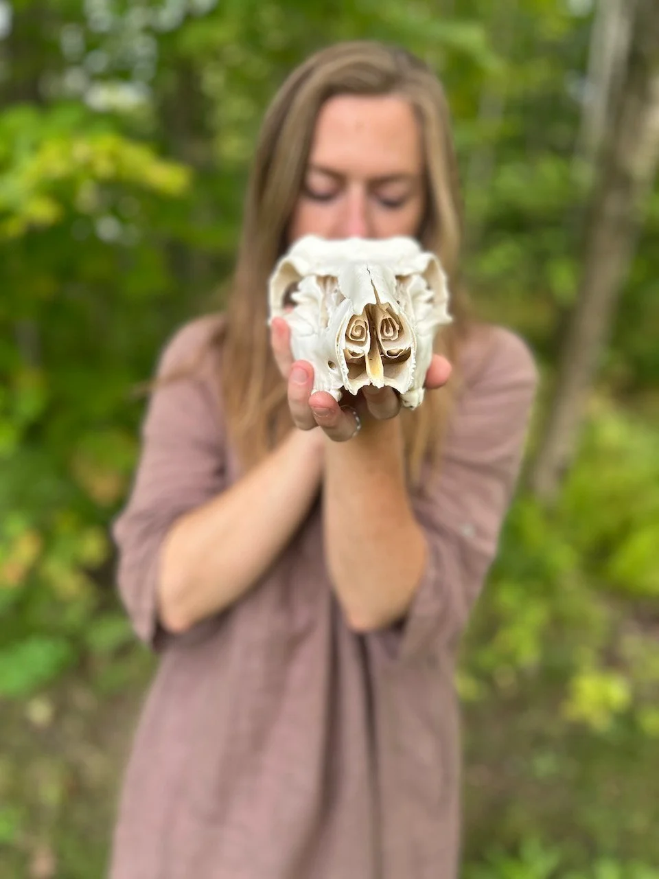 Sarah West artist deer skull.jpeg