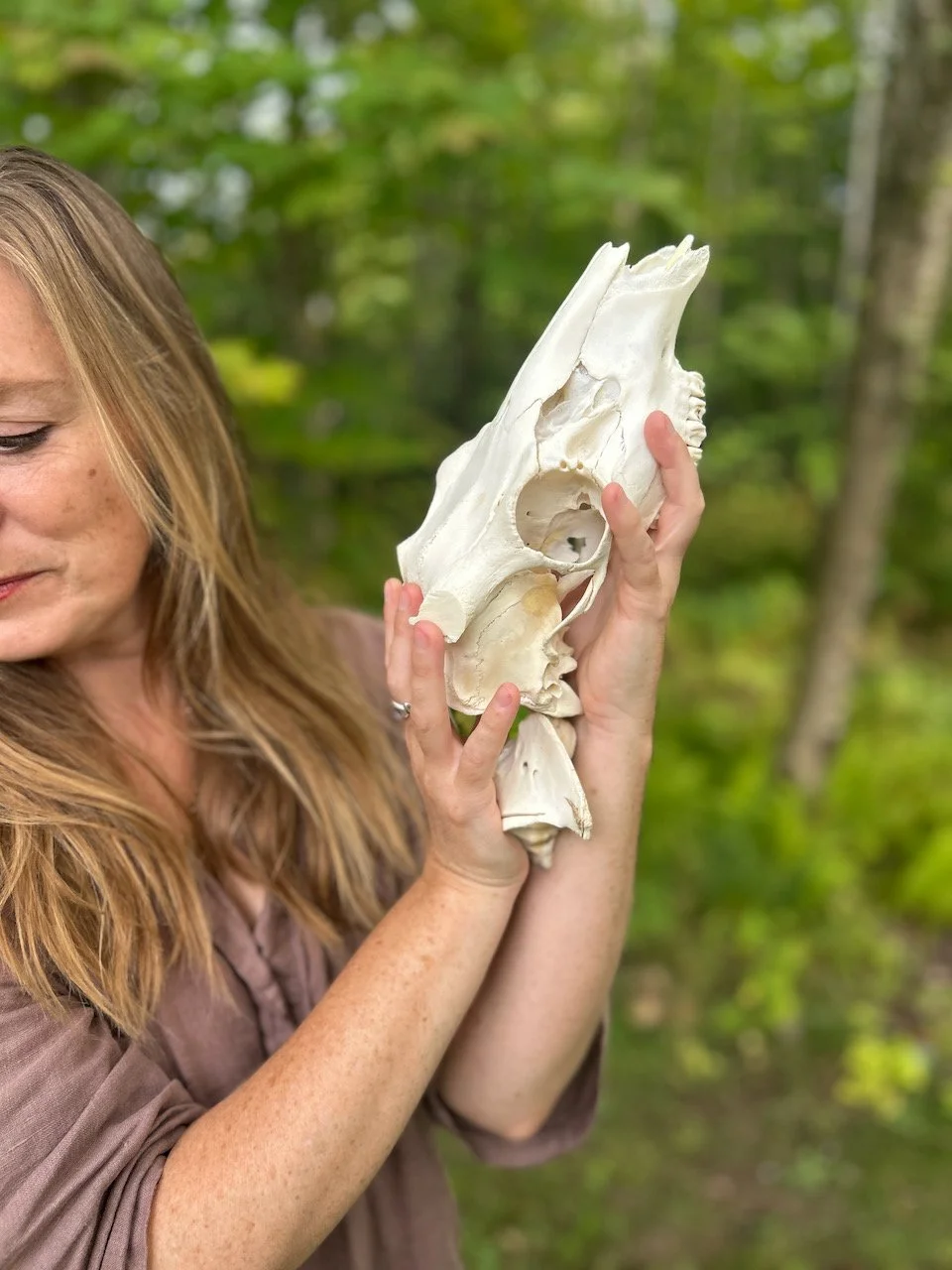 Sarah West artist deer skull 2.jpeg