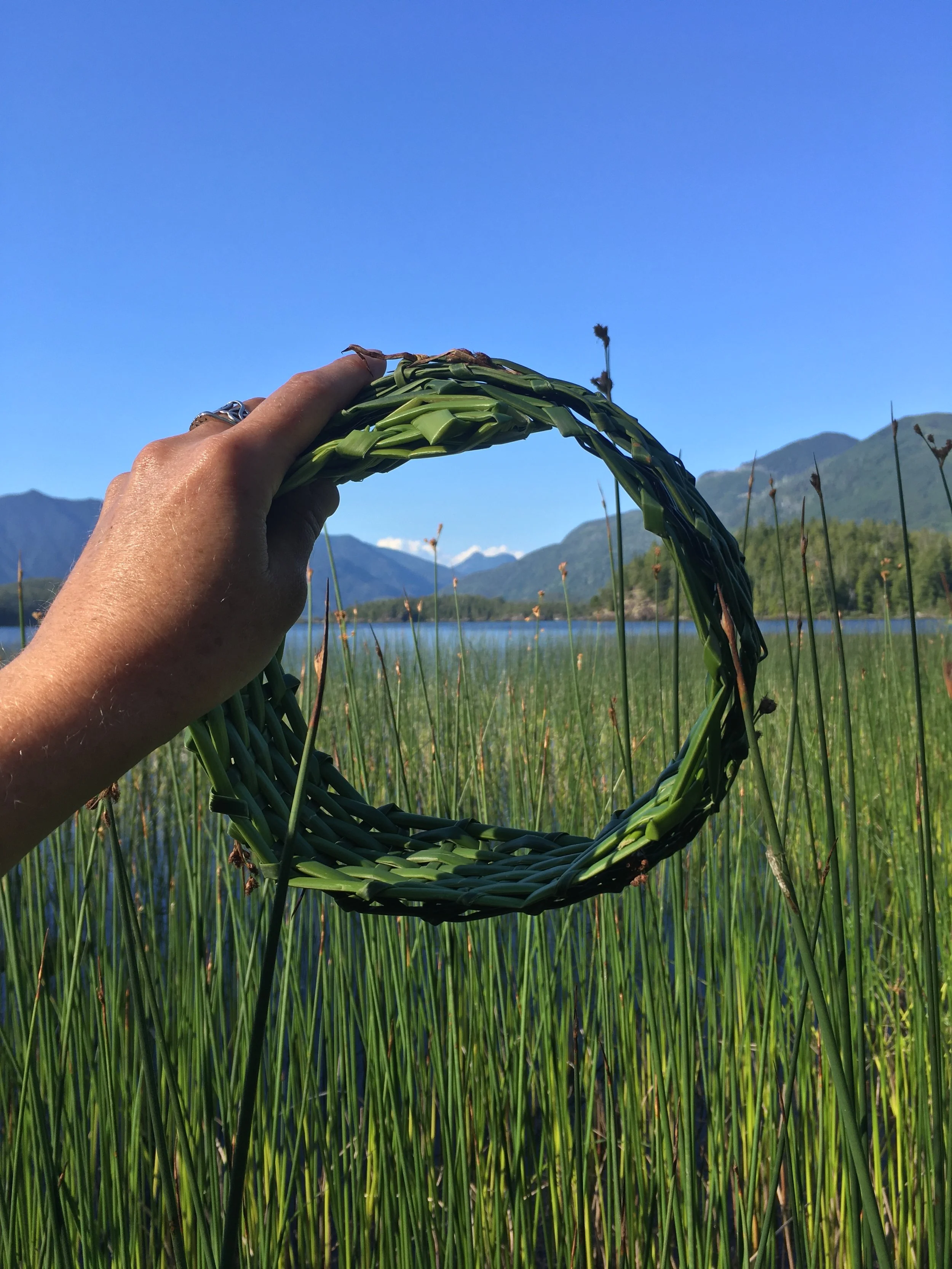 Sarah West artist eco arts reeds.JPG